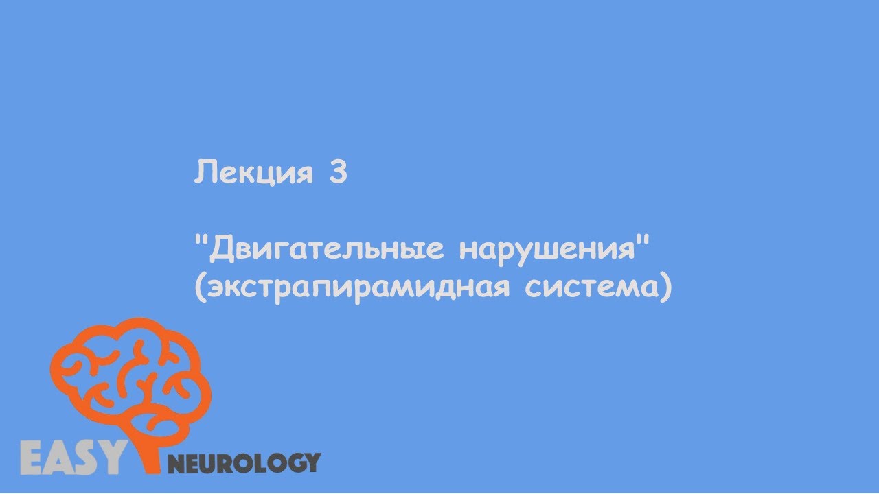 Общая неврология. Лекция 3 