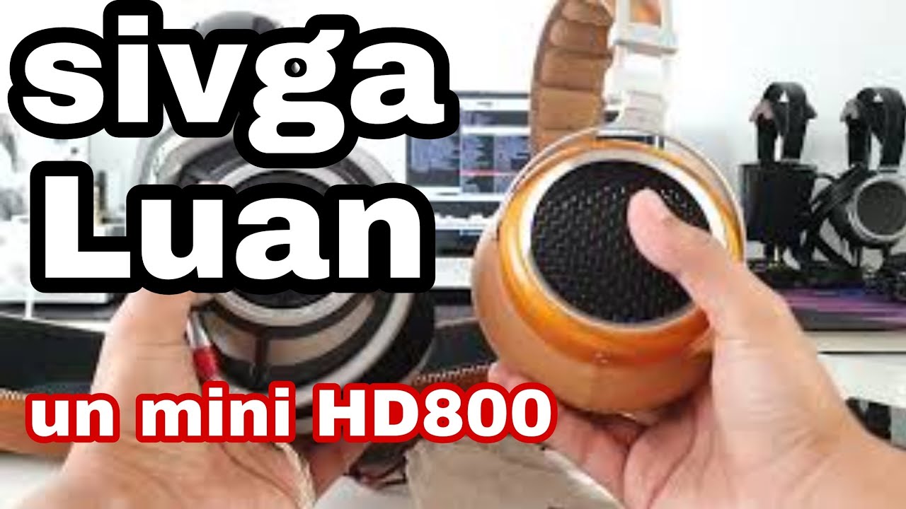 Un baby HD800: Sivga LUAN