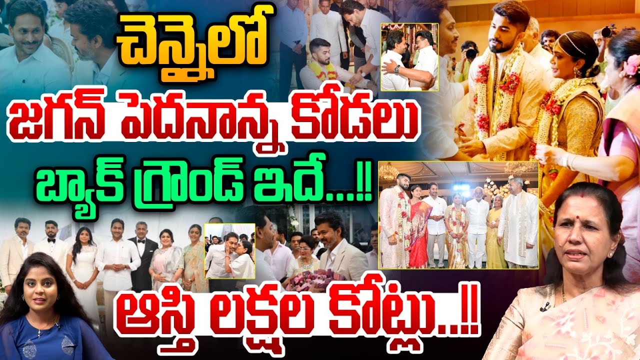 YS Jagan Relative Assets In Chennai : జగన్‌ పెదనాన్న కోడలు..చెన్నైలో లక్షల కోట్ల ఆస్తి | Wild Wolf T