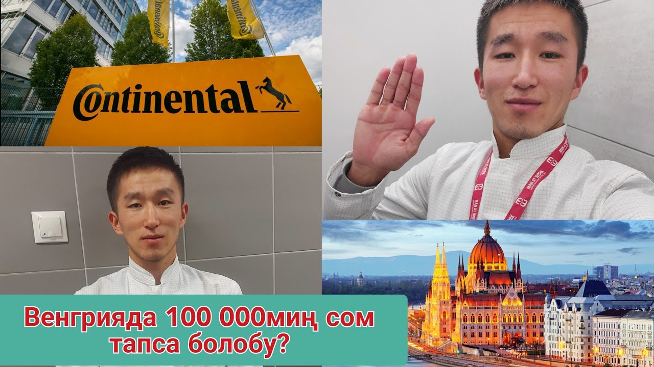 Венгрияда канча тапса болот? #европы #венгрия #кыргызча #казак #кыргызстан #бишкек #жумуш #казахстан