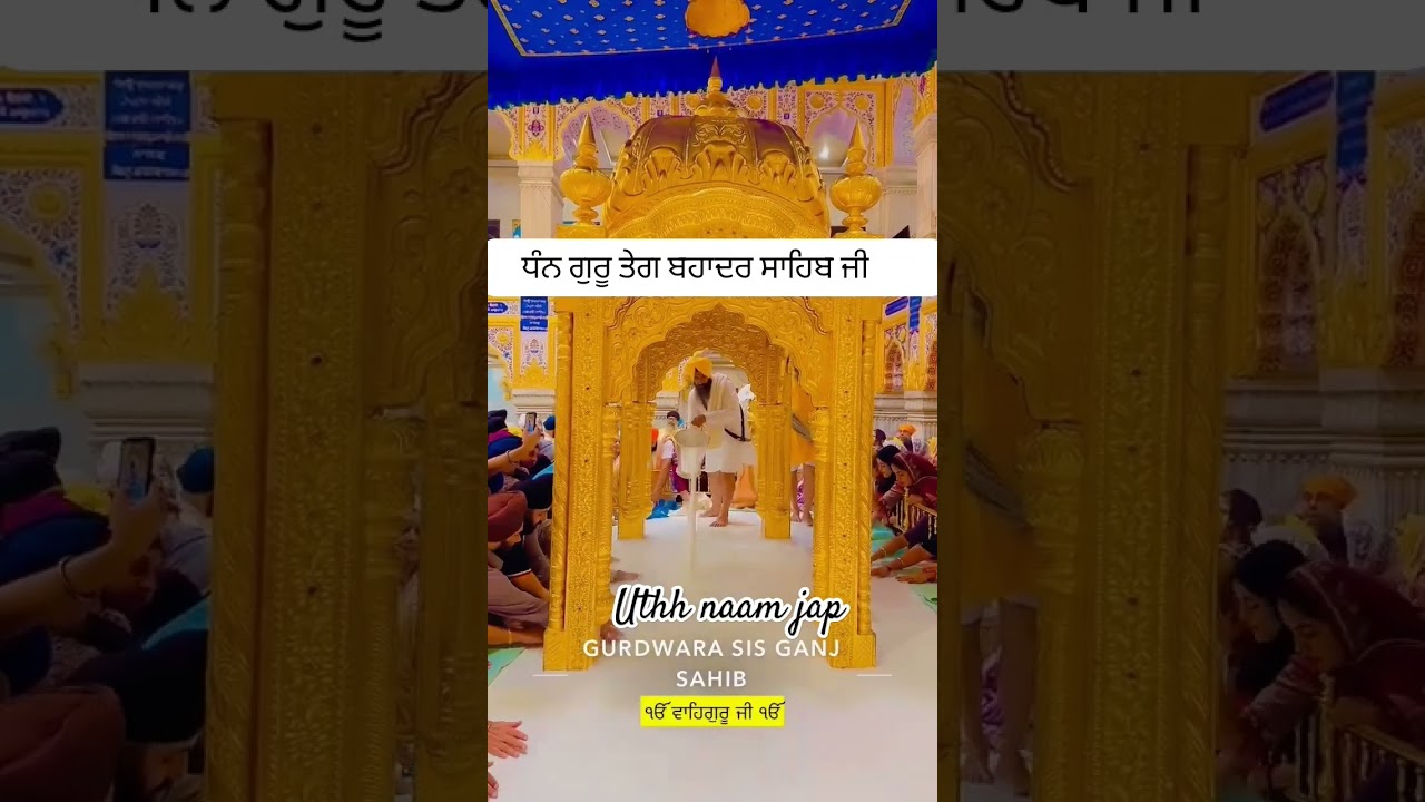 Gurdwara Sis Ganj Sahib 23.5.2025 #today #gurdwara #sisganjsahib #chandnichowk #live #daily #sisganj