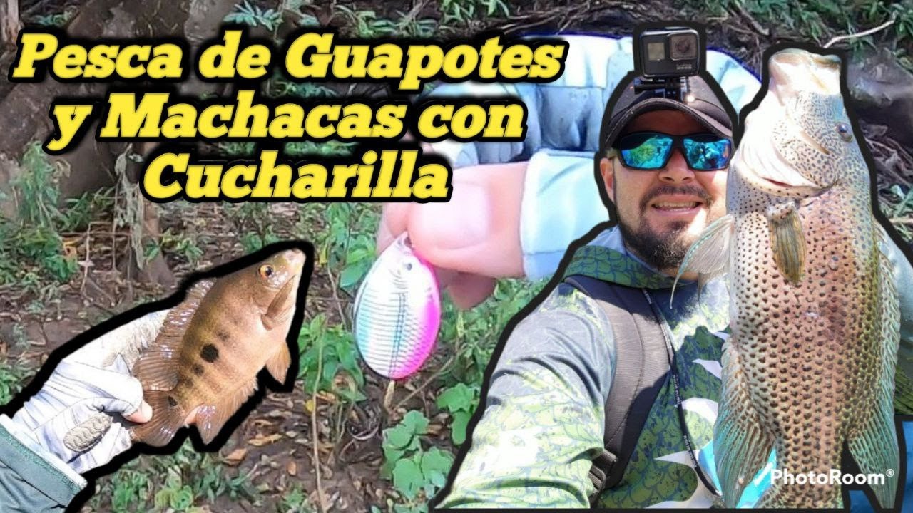 Pesca de Guapotes y machacas con cucharilla
