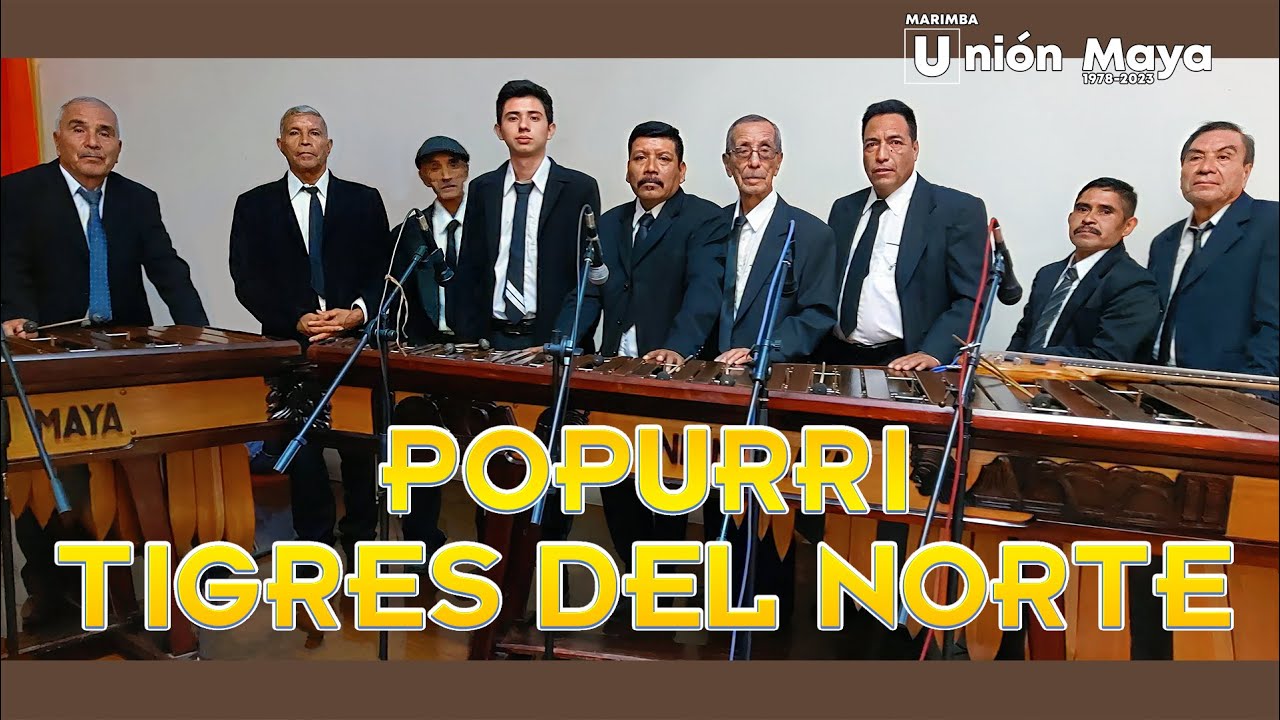 Popurri Tigres del Norte en MARIMBA (La Puerta Negra / Mesa del Rincon / Creiste / Rosita de Olivo)