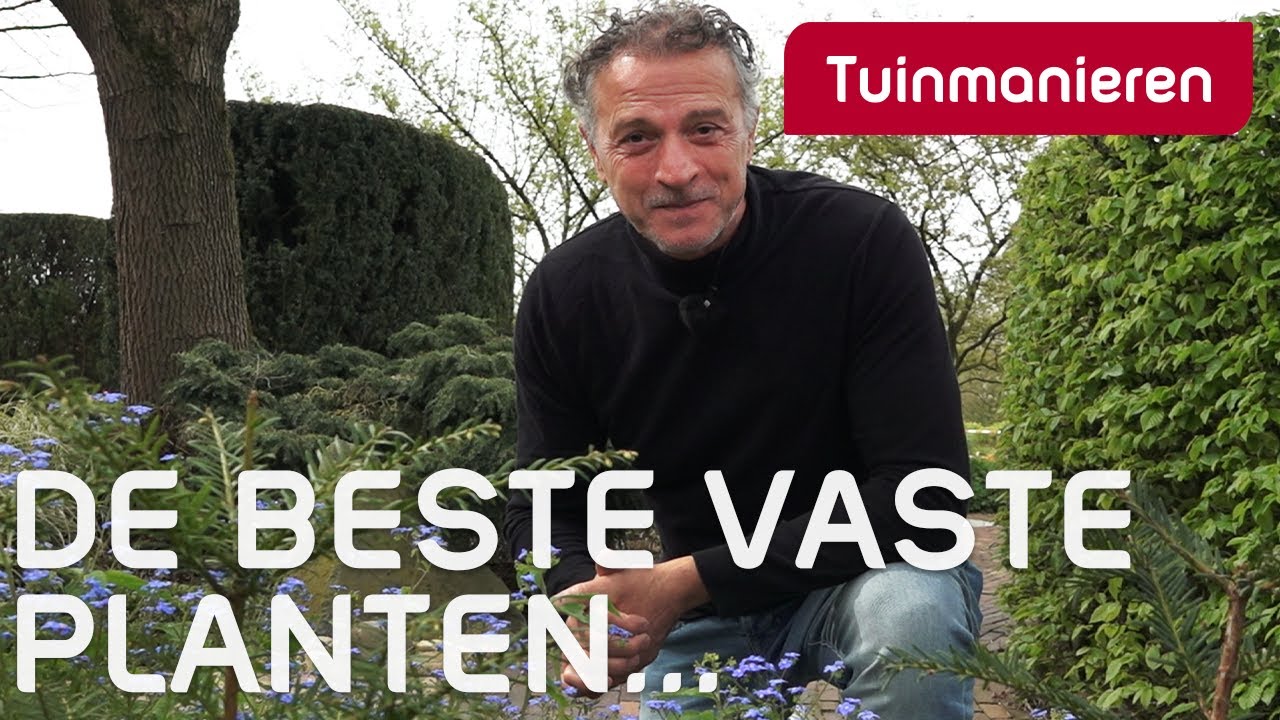 De beste vaste planten in de lente | April | Tuinmanieren