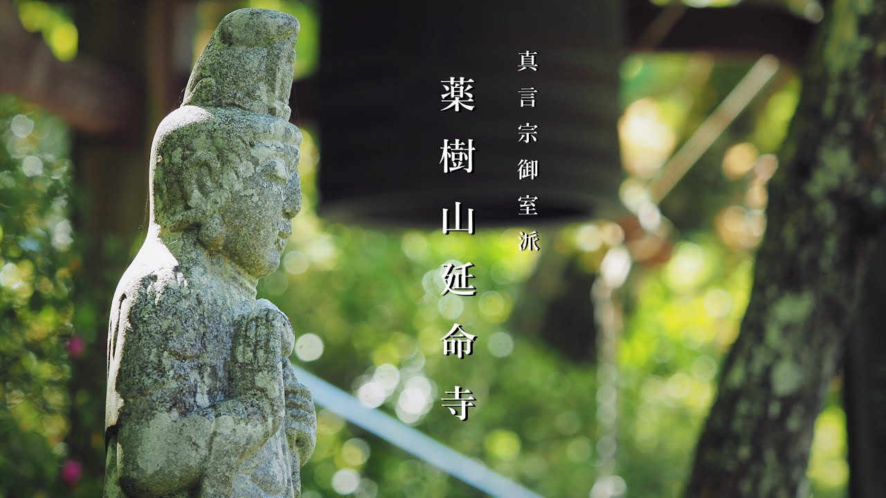 【延命寺の青もみじ】薬樹山延命寺/大阪府河内長野市
