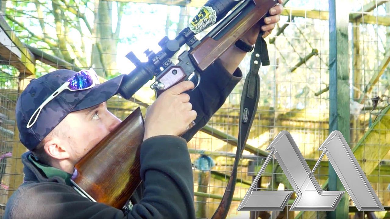 Airgun Hunting: Pest Control Shooting with the Air Arms S200