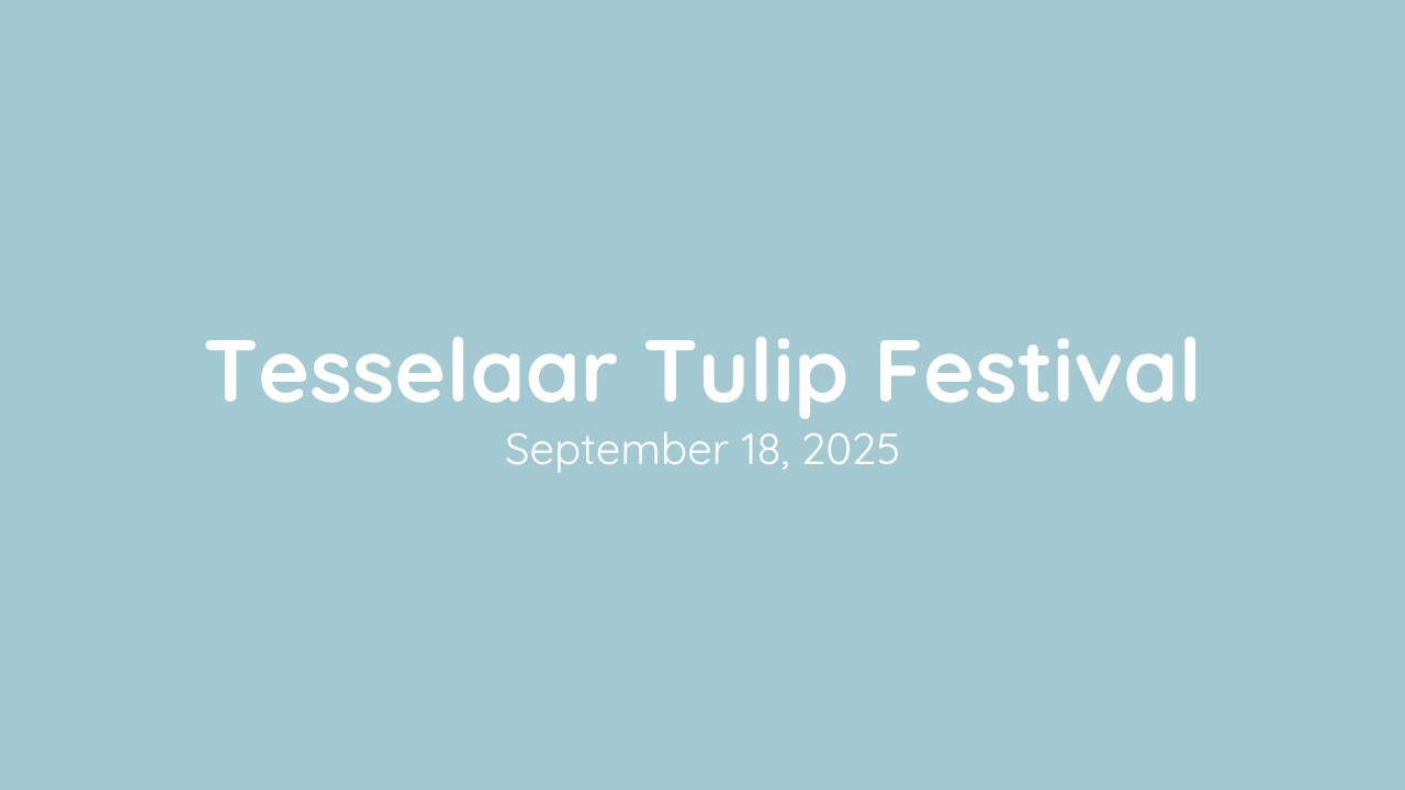 Tesselaar Tulip Festival