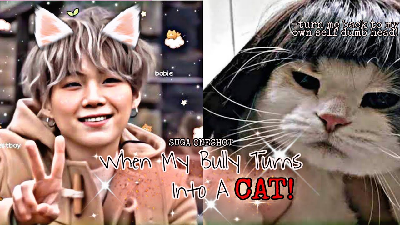 Suga Oneshot | When My Bully Turns Into A CAT | pt. 2