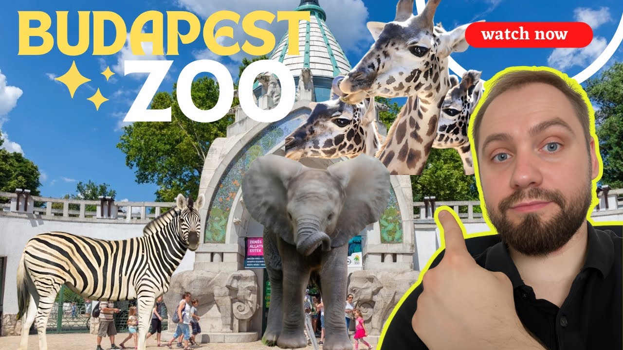 Wild Encounters! Exploring Budapest Zoo 🦘