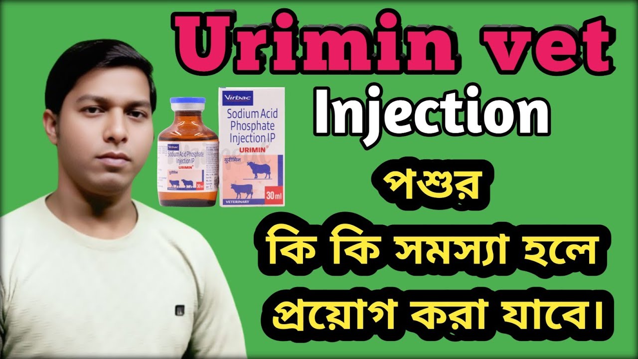 Urimin Vet Injection টি পশুর কি কি রোগে প্রয়োগ করা যাবে।#veterinary