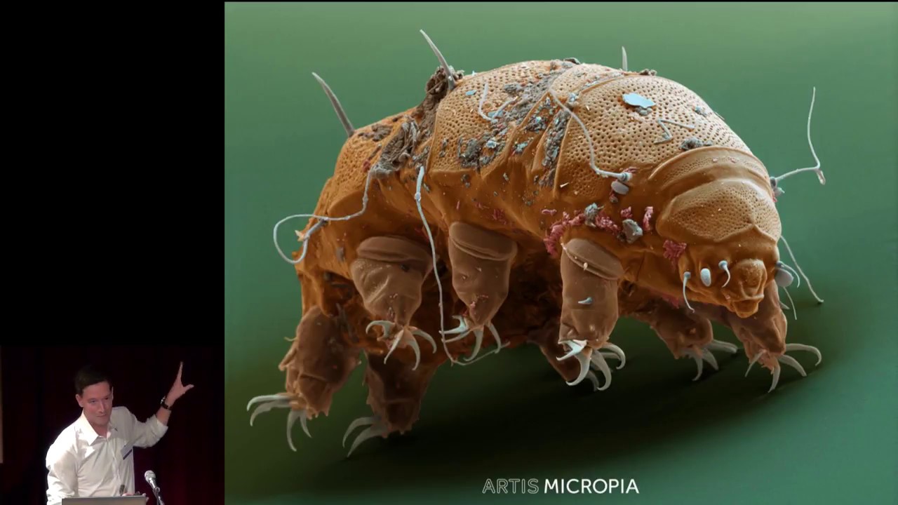 Micropia