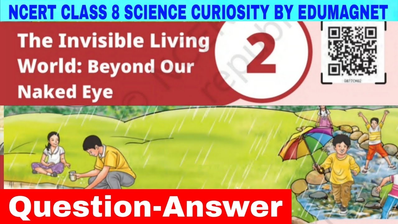 Class 8 Science Curiosity Chapter 2 Question Answer The Invisible Living World Beyond Our NakedEye  