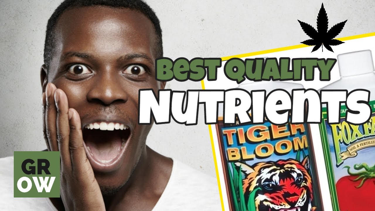 Best Quality Nutrients - Best Nutrients for Growing Cannabis