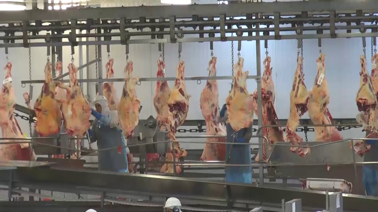 Friboi abre as portas de sua fábrica em Campo Grande/MS