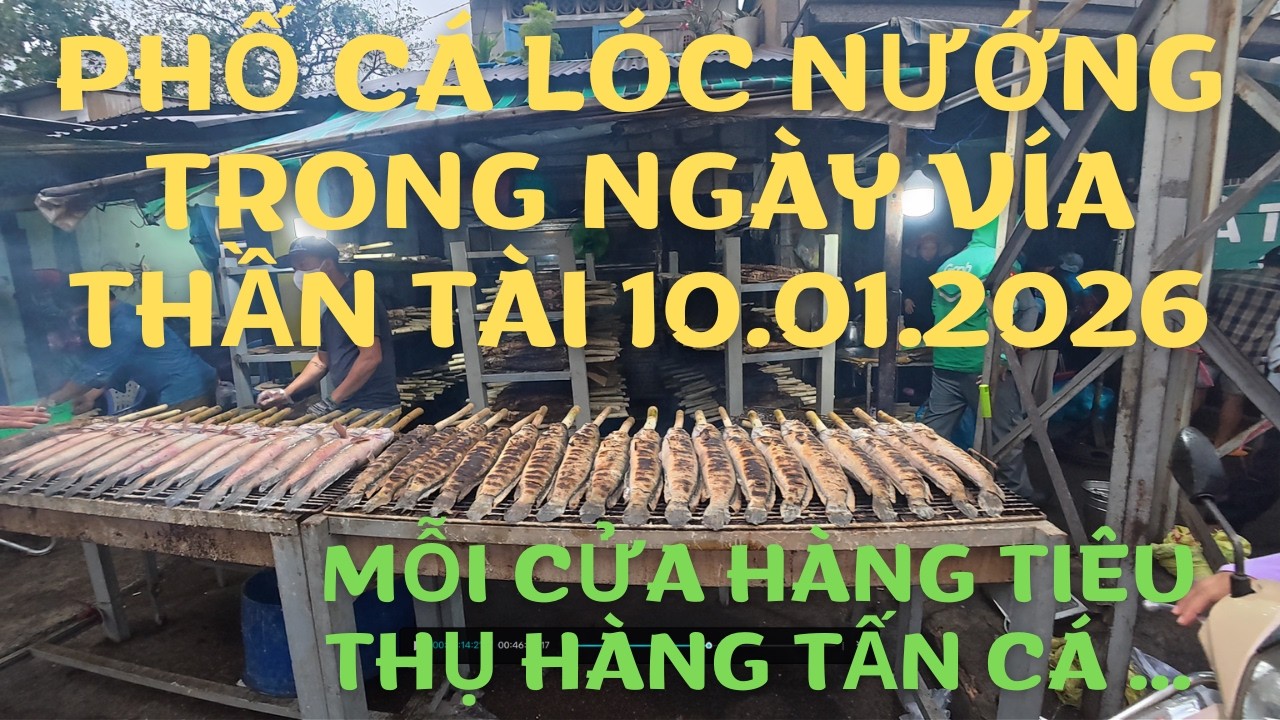 Phố cá Lóc Nướng TKTQ HCM trong ngày vía Thần Tài 10.01.2026 | TRONG TUAN BT