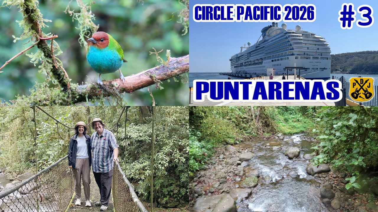 Puntarenas, Costa Rica - Cloud Forest Tour, Birdwatching, Suspension Bridges - Circle Pacific Cruise