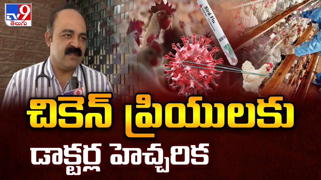 చికెన్ ప్రియులకు డాక్టర్ల హెచ్చరిక.. | Bird flu Alert - TV9