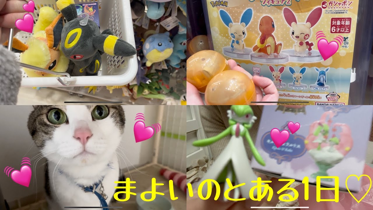 かわいいものもらった❤️とある休日の日❤️ポケモンだらけ❤️歯が痛い😿