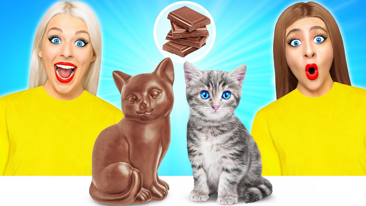 Chocolate vs Real Food Challenge #2 | 100 Layers of Chocolate by Multi DO Fun