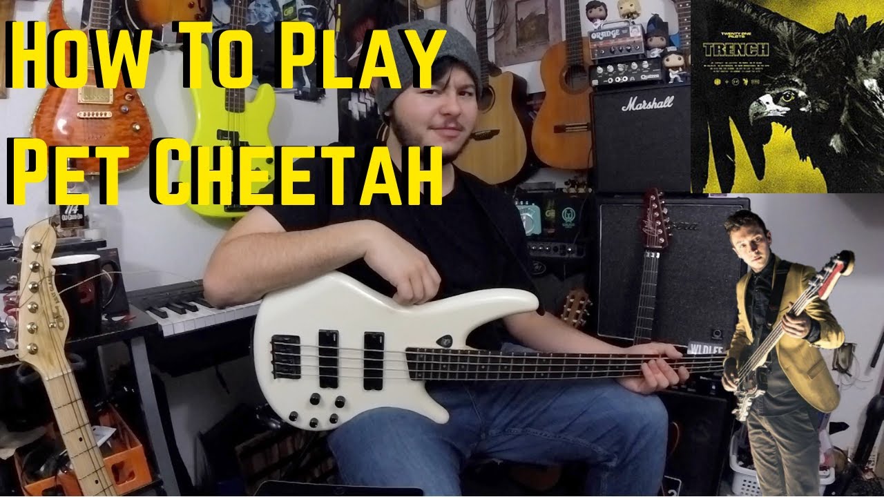 How to play Pet Cheetah on Bass | TØP Thursday