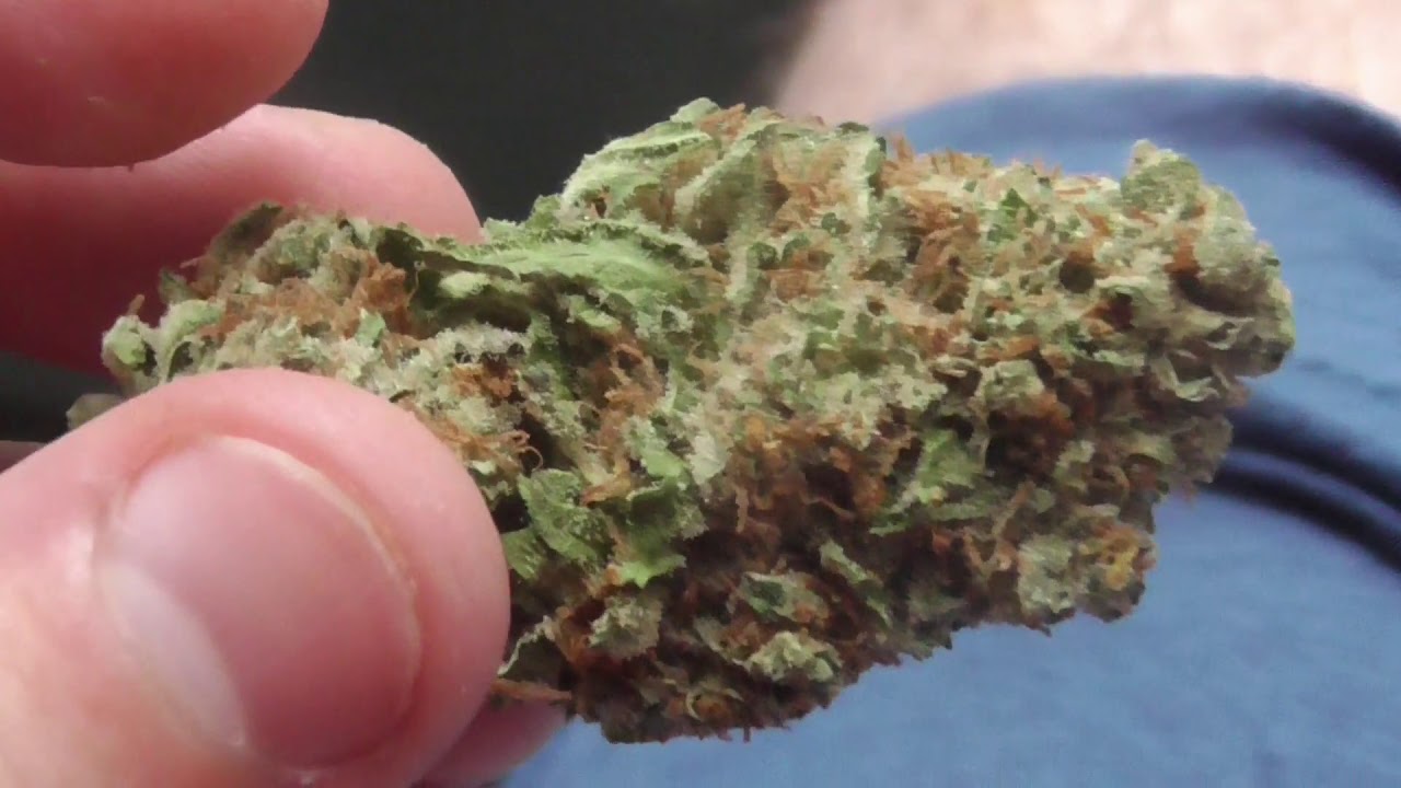 Pineapple Skunk by Gleaf Strain Review