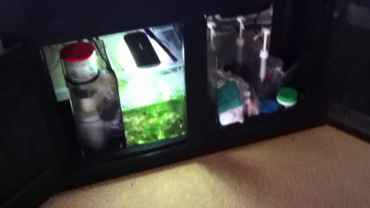 90 Gallon reef aquarium build update #2
