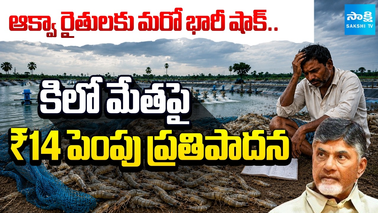 Another Major Shock for Aqua Farmers | ₹14/kg Hike Proposed in Shrimp Feed Prices | Sakshi Tv
