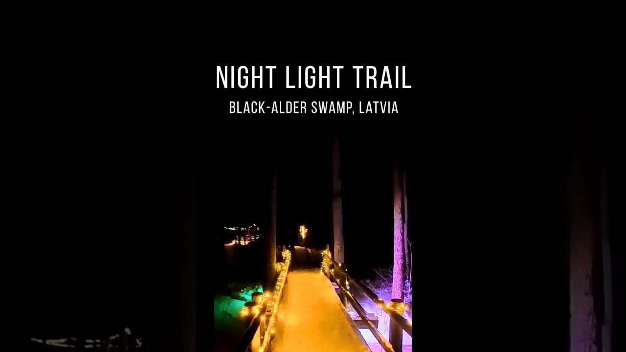 -18°C ❄️ in the Latvian Swamp on a Light Trail boardwalk 