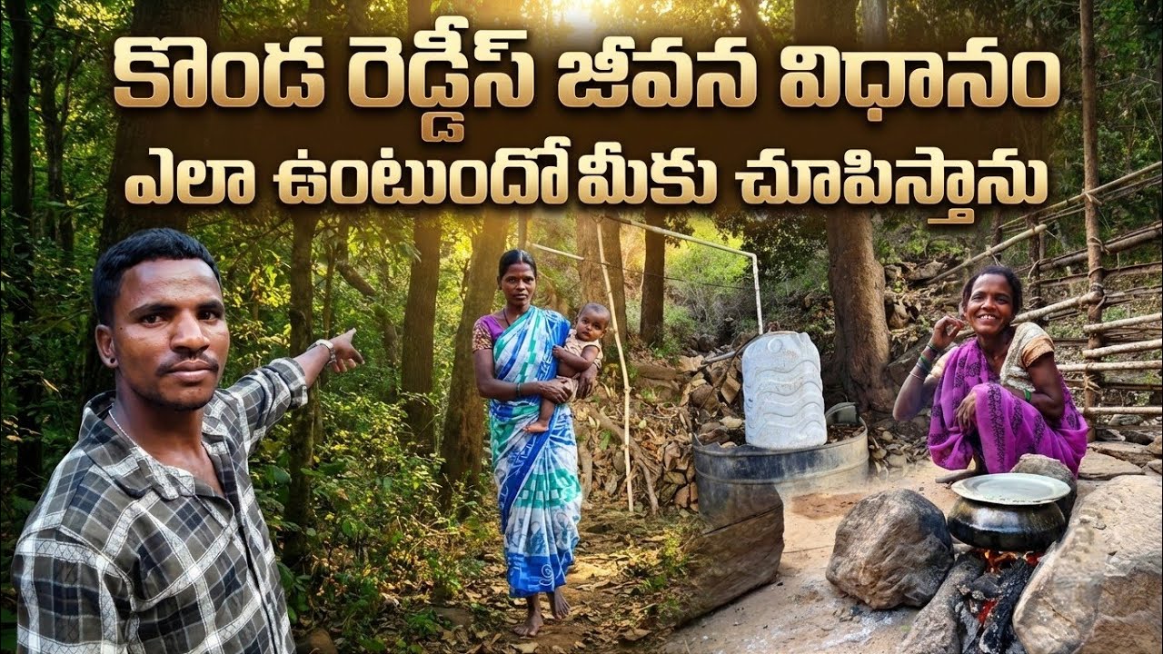 కొండ రెడ్డీస్ జీవన విధానం ఎలా ఉంటుందో మీకు చూపిస్తాను ఆదివాసి గిరిజన కొండ రెడ్డీస్ నీ చూపిస్తున్న 