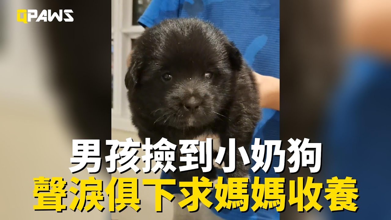 男孩撿到小奶狗，聲淚俱下求媽媽收養，媽媽同意後帶去醫院檢查，一起陪伴孩子成長【後續已更新】