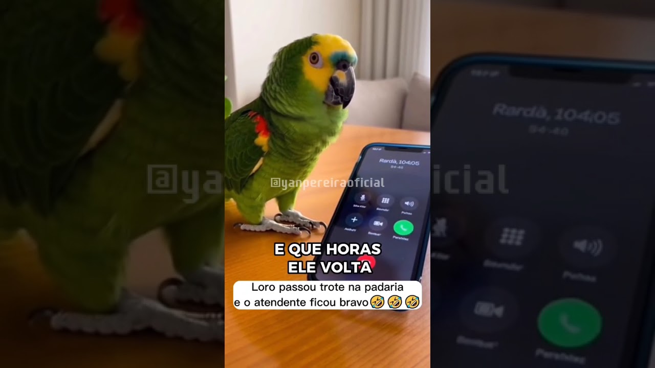 😂😂😂