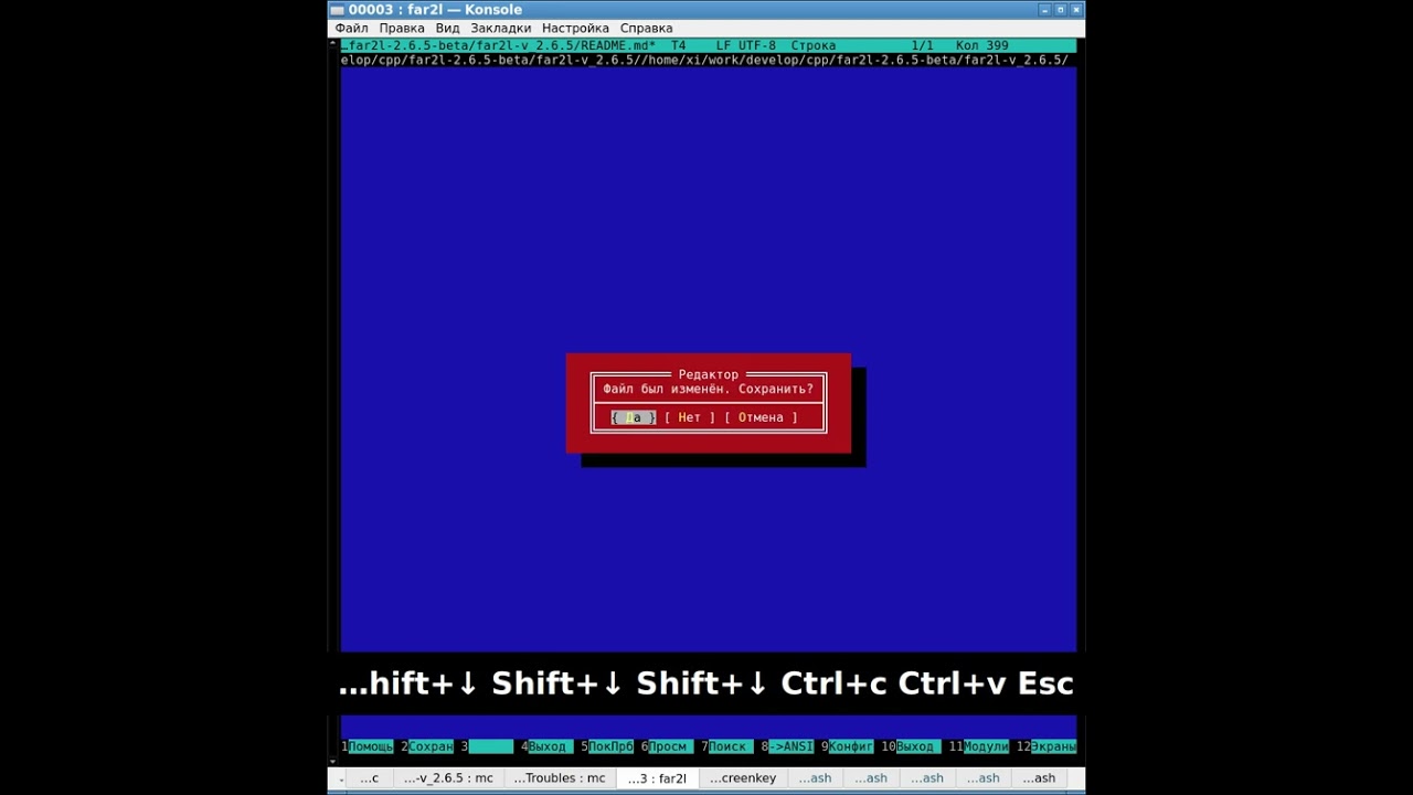 Проблема копипаста через Ctrl+C/Ctrl+V в far2l v.2.6.5-beta Linux x86_64