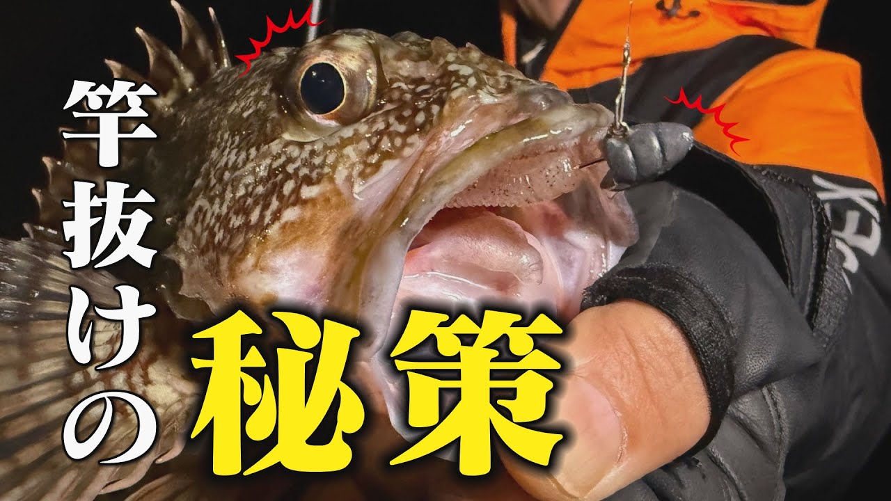 大崎上島で挑むオカッパリライトゲーム！【フィッシングトリップ】
