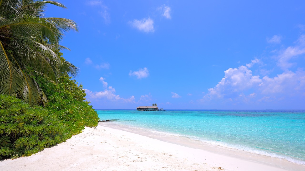 Heaven on Earth 🌴 Maldives & Ocean Waves 4K 60FPS Dolby Vision