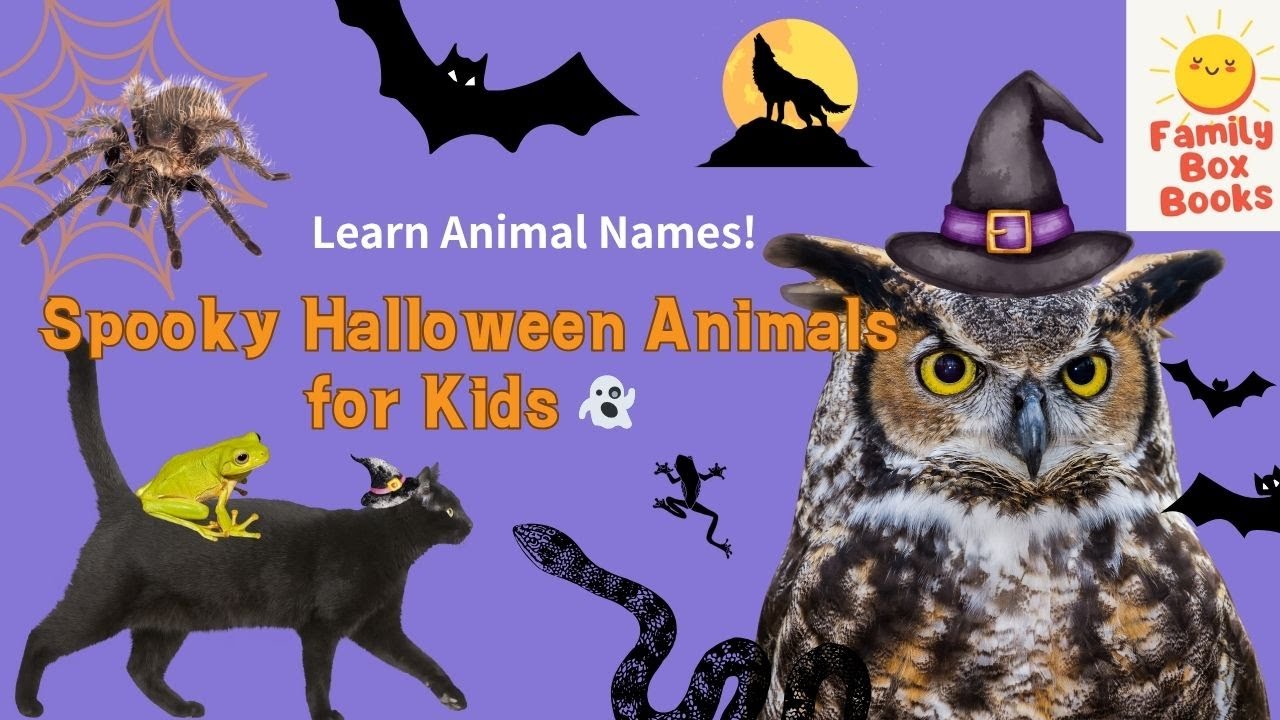 Spooky Halloween Animals for Kids 👻 | Learn Animal Names!