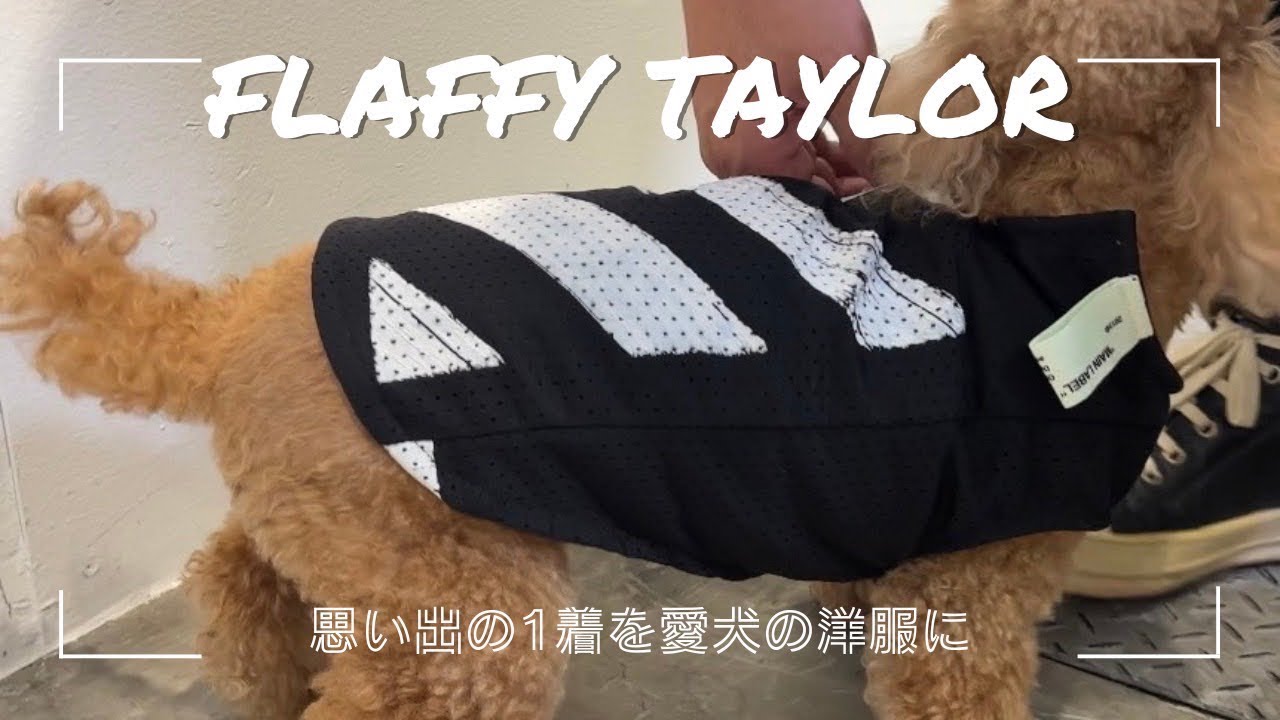 【FLAFFY TAYLOR】sacaiやoffwhiteが愛犬の洋服になりました‼︎ イベントのお知らせも