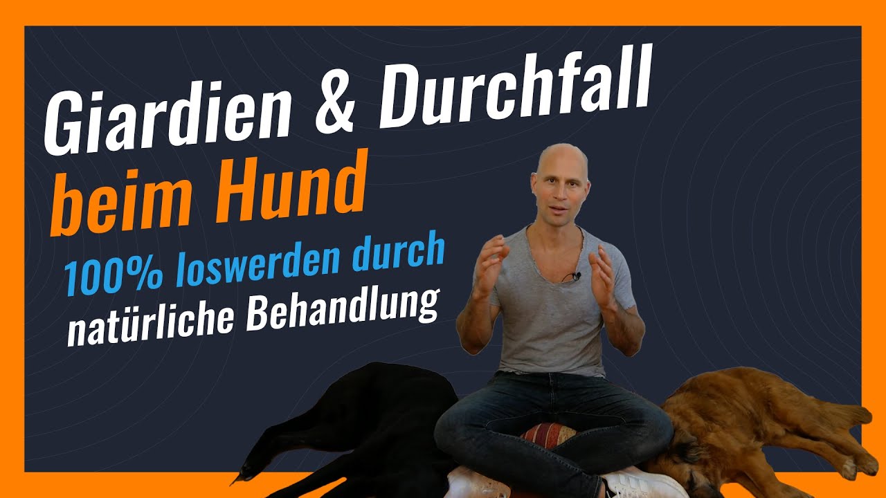 GIARDIEN & DURCHFALL beim Hund LOSWERDEN ohne Medikamente | Nat&uuml;rliche Behandlung & Futter