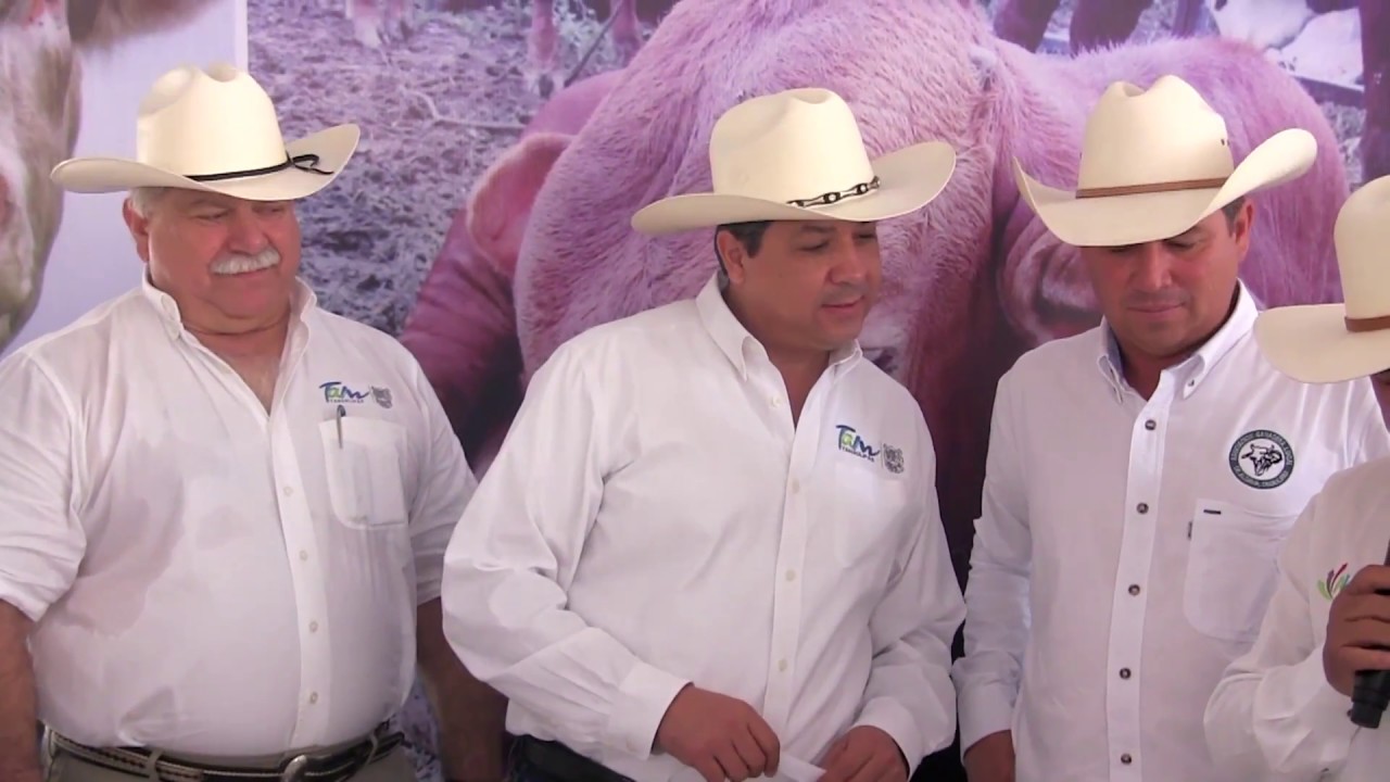 ENTREGA GOBERNADOR 200 TOROS A GANADEROS DE ALDAMA, TAMPS.