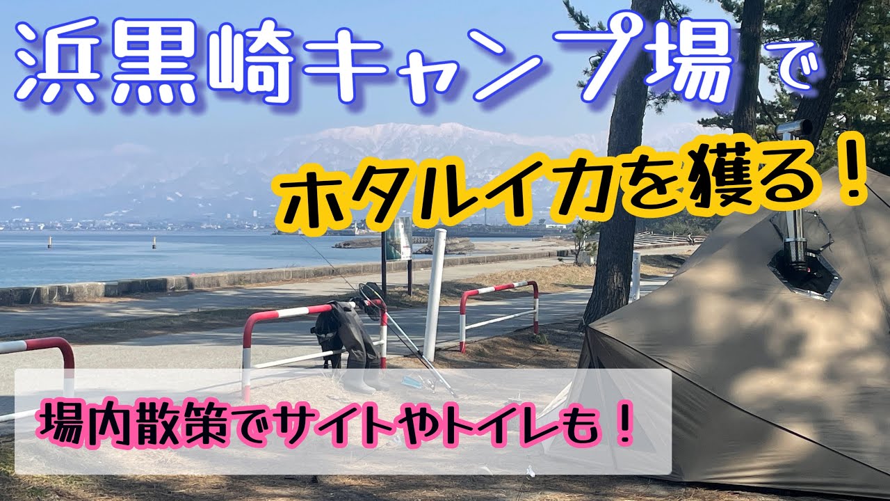 浜黒崎キャンプ場のサイトやトイレをチェック！ホタルイカも獲ったよ！