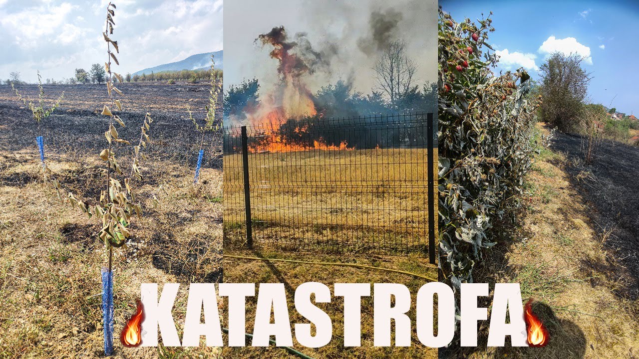 Pozar unistio sela u Srbiji - REALNO STANJE
