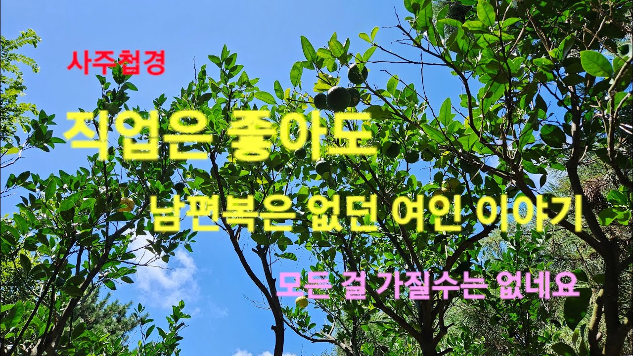 [ 사주첩경 ] 직업은 가져 삶은 지장 없어도 남편복이 없던 여인