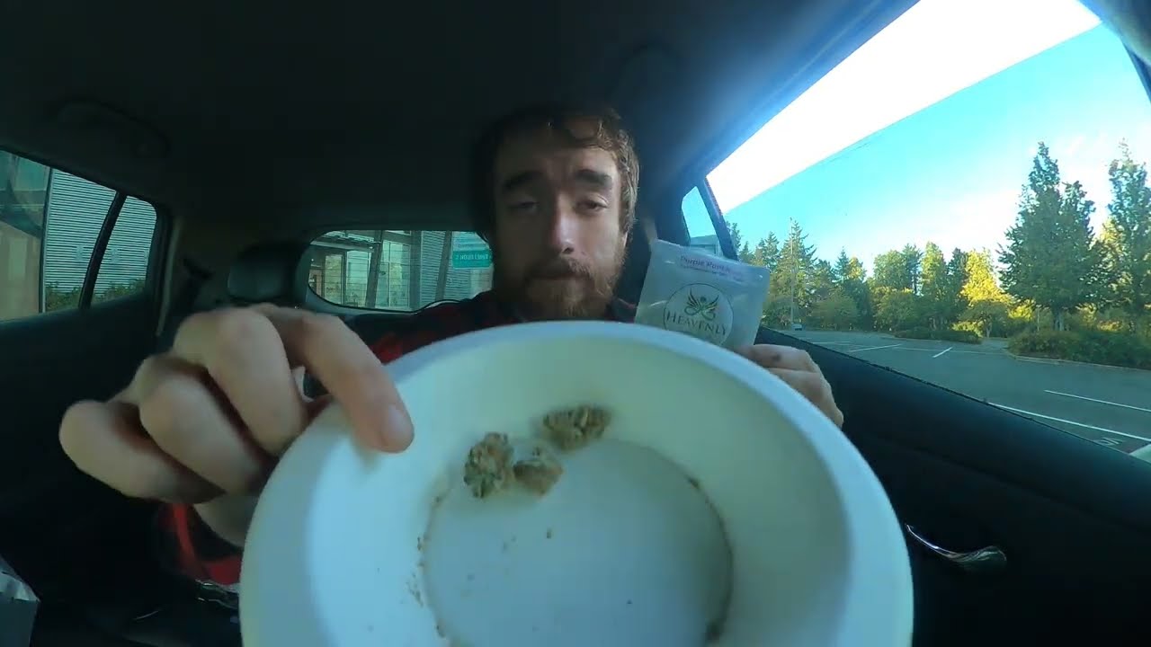 Strain Review Purple Punch Heavenly Buds