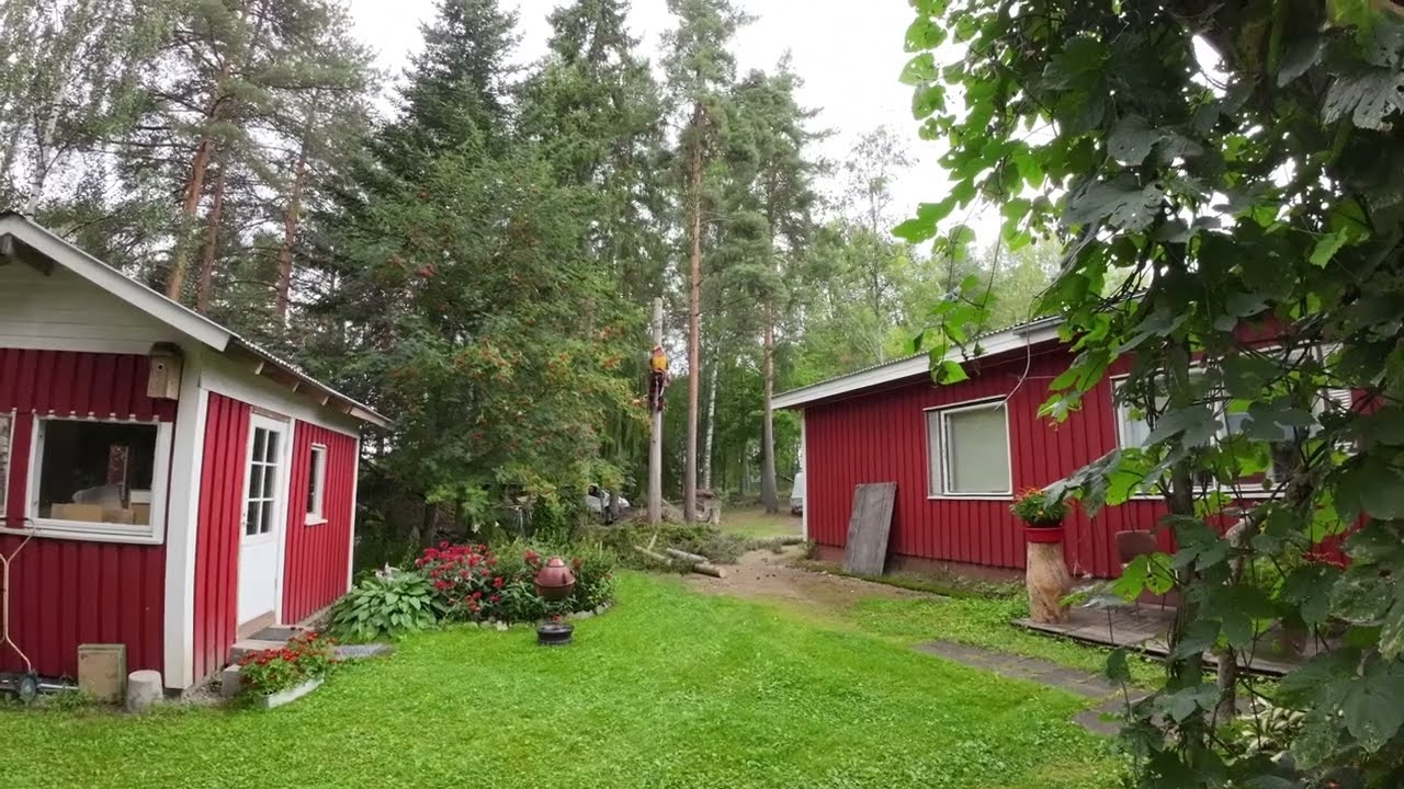kuusi nurin