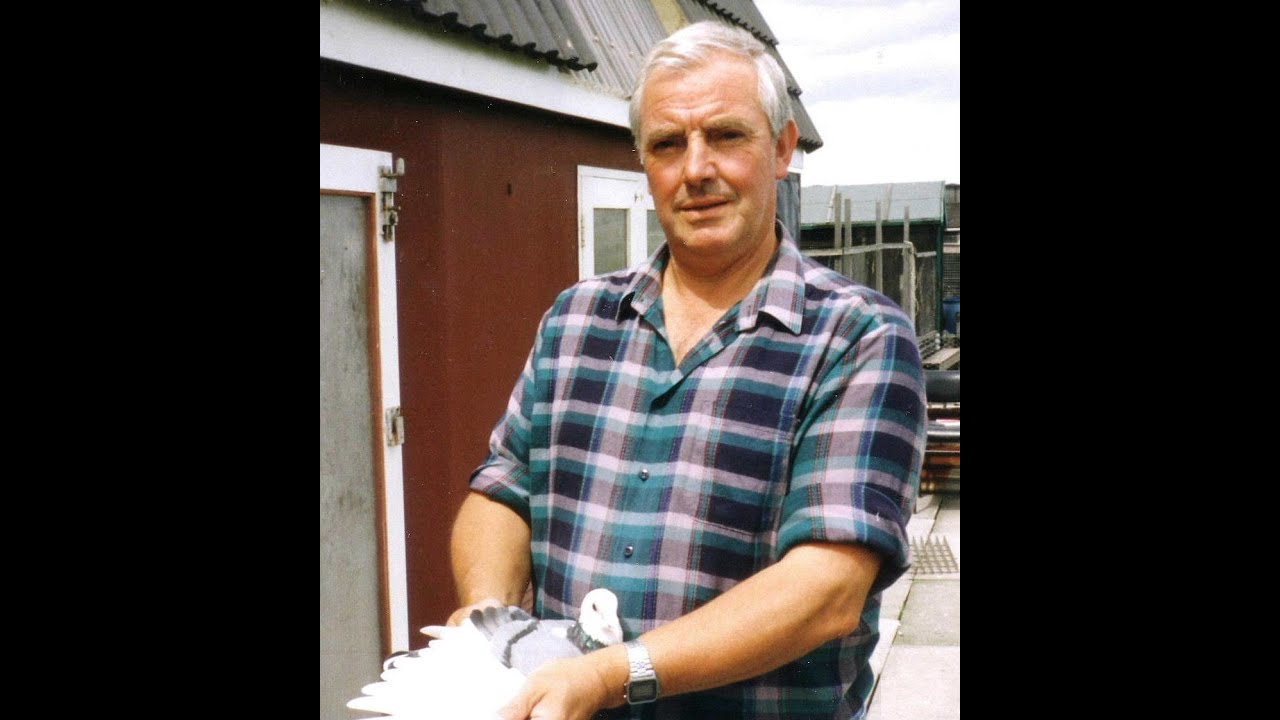 Video 245: Colin Allison of Redcar: Premier Pigeon Racer