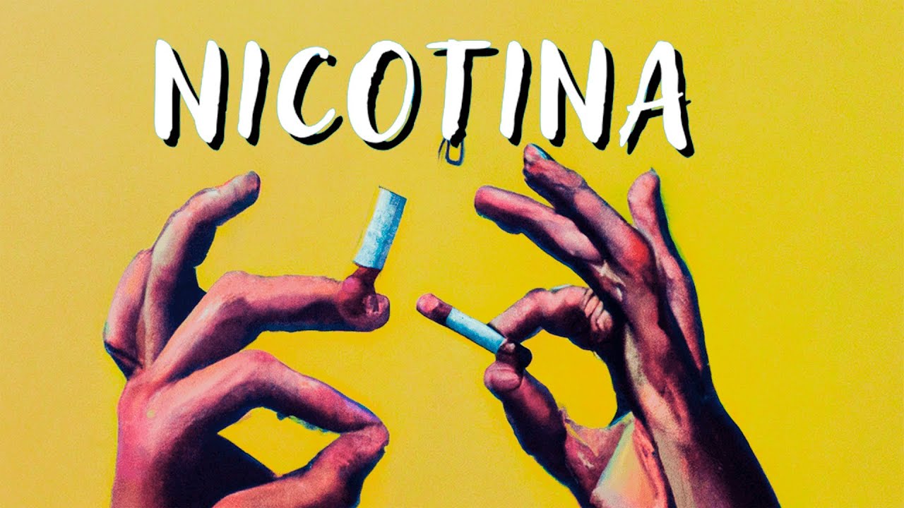 🚬 ¿Qué PASA en tu CUERPO cuando DEJAS de FUMAR? 💪 ¿Qué es la NICOTINA y el TABACO? 🚫 ¿Cómo dejarlo?
