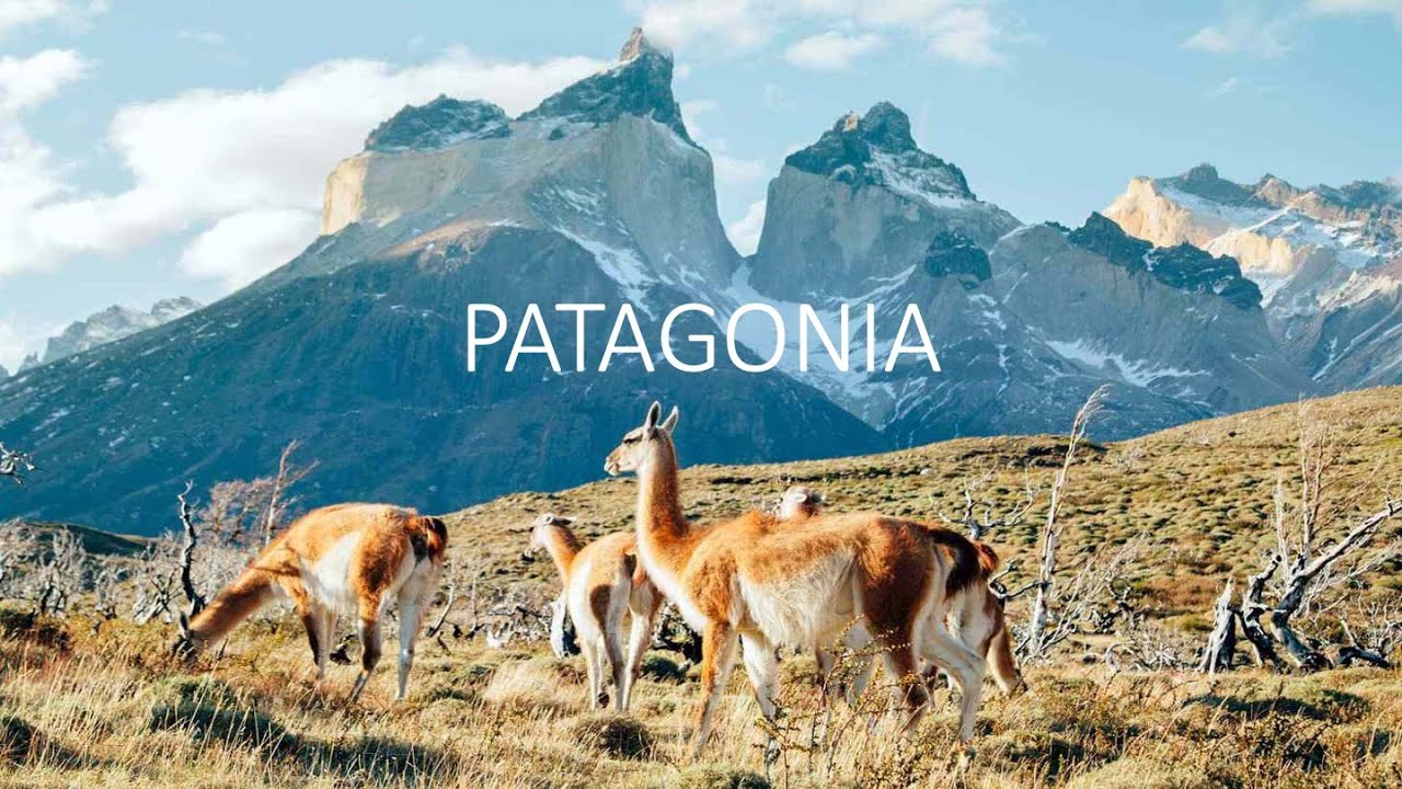 PATAGONIA