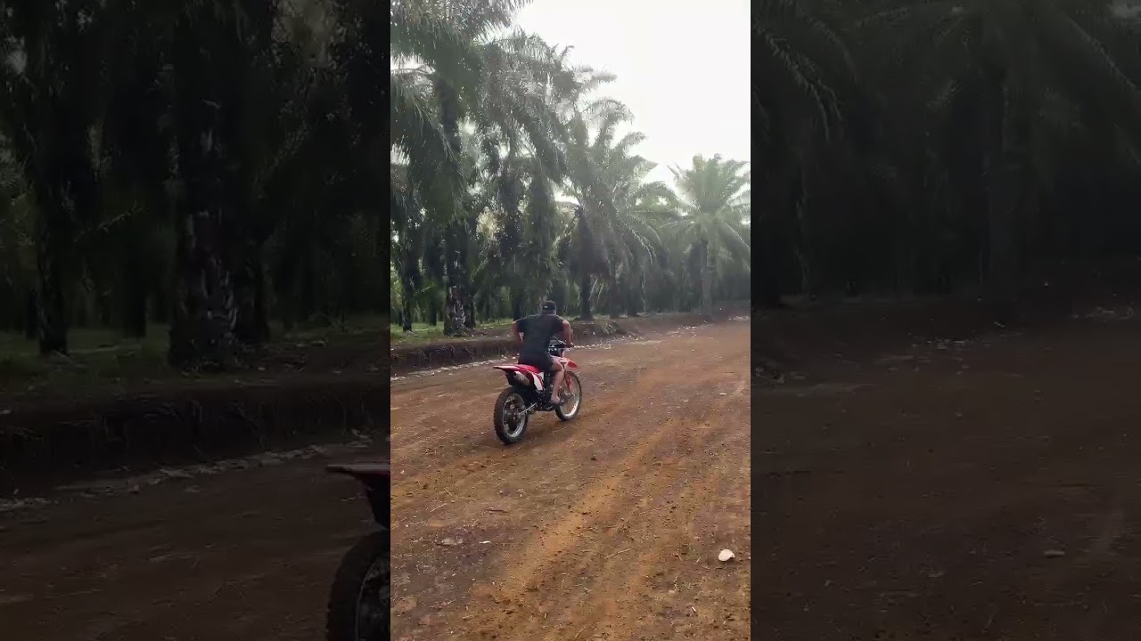 Standar bawaan deler juga gacor 💥#adventure #gtx #hobby #motorcross #gtxbengkulu #gtxindonesia