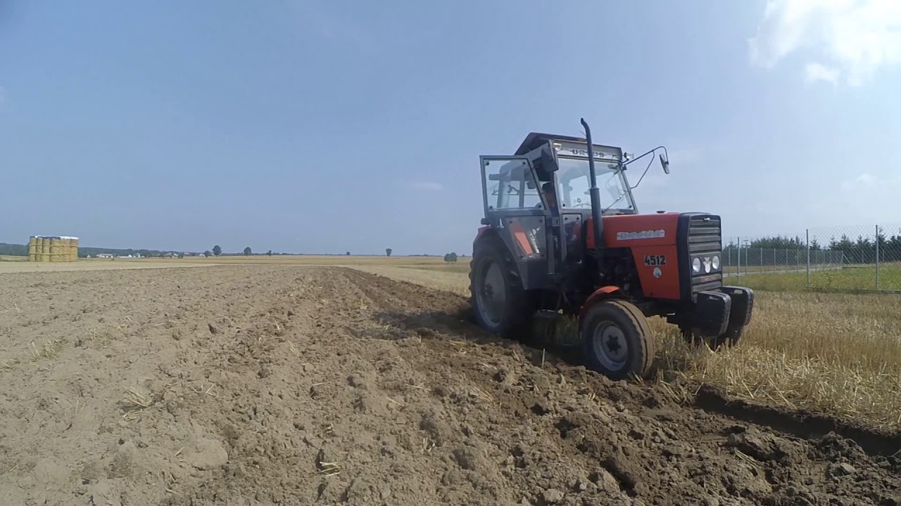 Podorywka 2019 Ursus 4512 w akcji