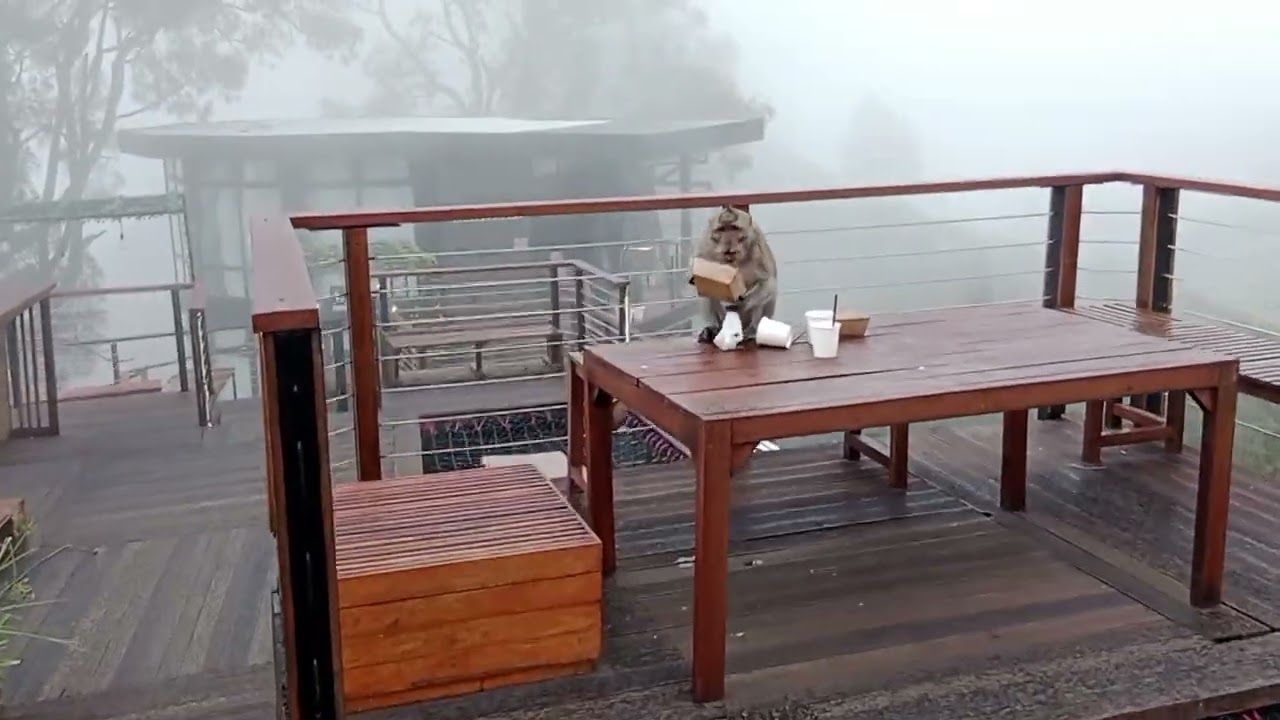 Cafe Bromo Hillside