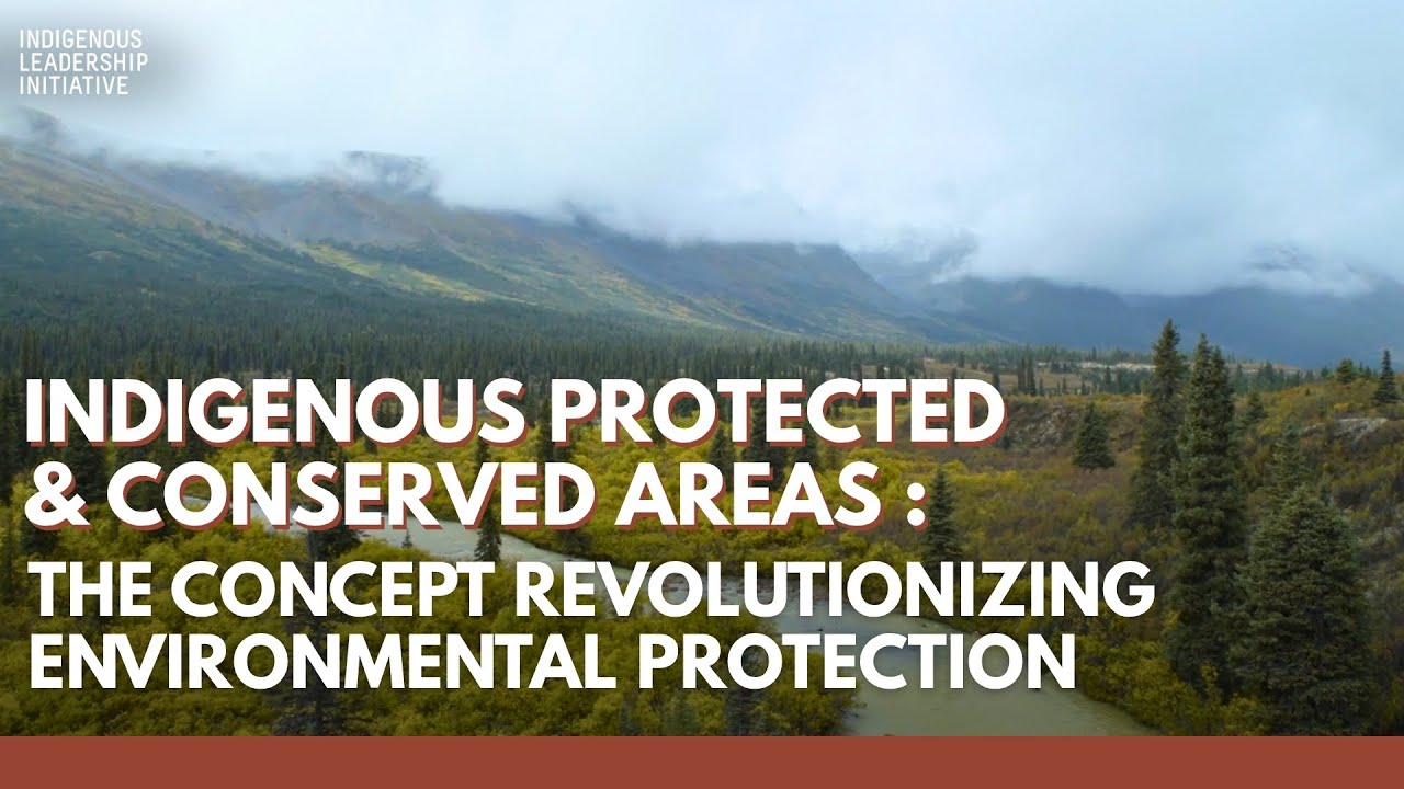 IPCA: The Concept Revolutionizing Environmental Protection